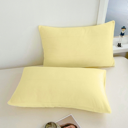 丽涵家纺 2024秋冬新品200克纯色全工艺牛奶绒单品枕套 冰淇淋色