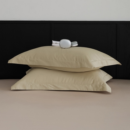 91家纺网 家纺一手货源 找家纺 （总）EH家居 2024新款早秋长绒棉单品系列--枕套