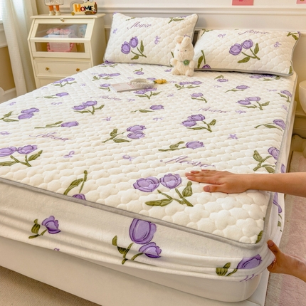 丝羽坊 2024新款A类加厚牛奶绒夹棉床笠 紫郁金香 