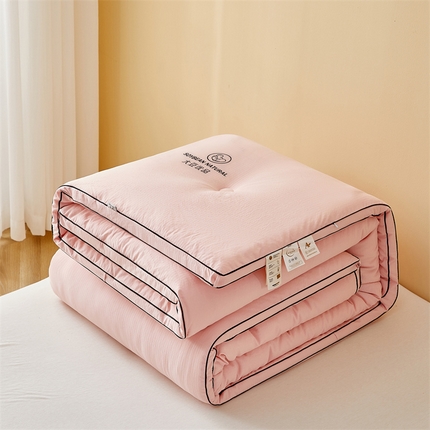 91家纺网 家纺一手货源 找家纺 （总）一加一 2025新款A类黑边立体大豆优品被冬被