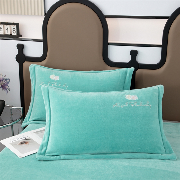 91家纺网 家纺一手货源 找家纺 优姿家纺 2025新款全消光10斤牛奶绒宽边绣花保暖四件套 花季-湖兰