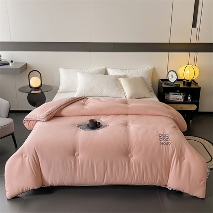 91家纺网 家纺一手货源 找家纺 （总）一加一 2025新款黑边立体刺绣大豆被