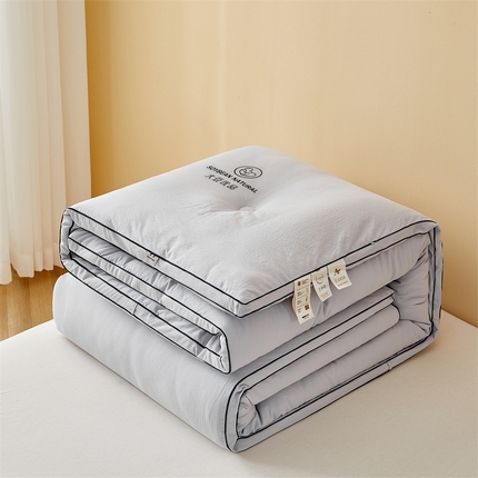 91家纺网 家纺一手货源 找家纺 （总）一加一 2025新款A类黑边立体大豆优品被冬被