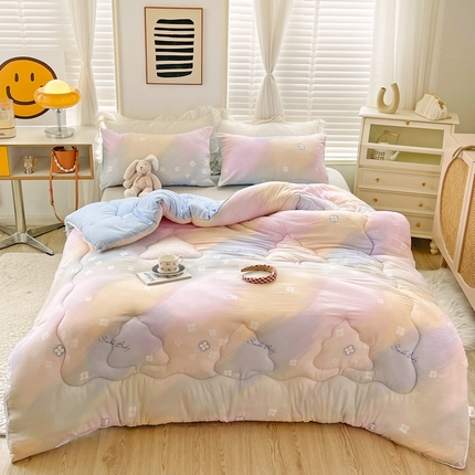 2024新款A类水洗棉印花超柔保暖冬被 五彩缤纷