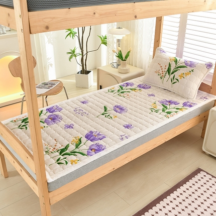 91家纺网 家纺一手货源 找家纺 （总）牵依 2025新款牛奶绒印花床垫学生床褥