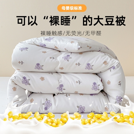 91家纺网 家纺一手货源 找家纺 （总）芯恋家居 2025新款斜纹云感棉大豆被冬被