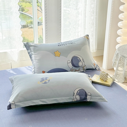 91家纺网 家纺一手货源 找家纺 （总）珂博家纺 2024新款轻柔感全棉印花单品四件套系列-单枕套