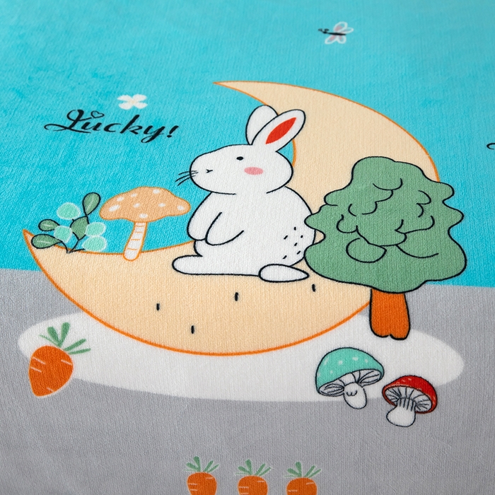 91家纺网 家纺一手货源 找家纺 侨鑫 2024新款法兰绒毛毯 玉兔