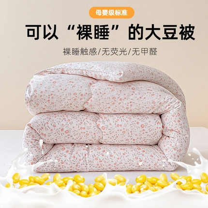 芯恋家居 2025新款斜纹云感棉大豆被冬被 花漾