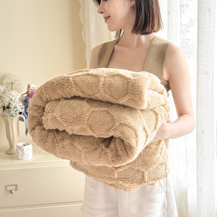 91家纺网 家纺一手货源 找家纺 丹本家纺 2025新款塔肤绒跨境双面提花足球格加厚毛毯盖毯 驼色