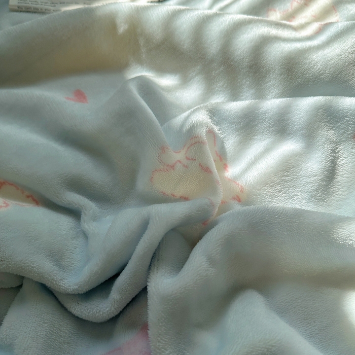 91家纺网 家纺一手货源 找家纺 萝莉家纺 2024秋冬新款多功能加厚牛奶绒羊羔绒多功能毛毯 生日礼物