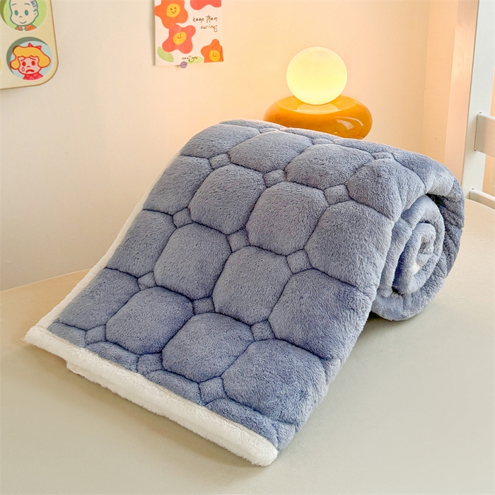 91家纺网 家纺一手货源 找家纺 雯豆家纺 2025冬季泰迪绒学生宿舍床垫床褥子上下铺大学生床垫北极绒床护垫 泰迪绒床褥-宾利蓝