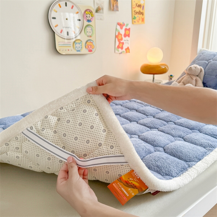 91家纺网 家纺一手货源 找家纺 雯豆家纺 2025冬季泰迪绒学生宿舍床垫床褥子上下铺大学生床垫北极绒床护垫 泰迪绒床褥-宾利蓝