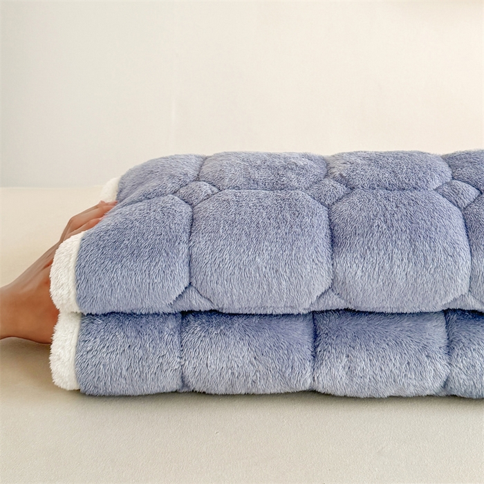 91家纺网 家纺一手货源 找家纺 雯豆家纺 2025冬季泰迪绒学生宿舍床垫床褥子上下铺大学生床垫北极绒床护垫 泰迪绒床褥-宾利蓝