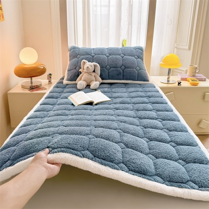 91家纺网 家纺一手货源 找家纺 雯豆家纺 2025冬季泰迪绒学生宿舍床垫床褥子上下铺大学生床垫北极绒床护垫 泰迪绒床褥-海因蓝