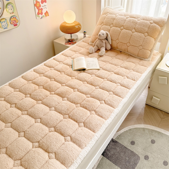 91家纺网 家纺一手货源 找家纺 雯豆家纺 2024新品泰迪绒学生床垫宿舍床褥子加厚上下铺北极绒床护垫 泰迪绒床褥-奶咖