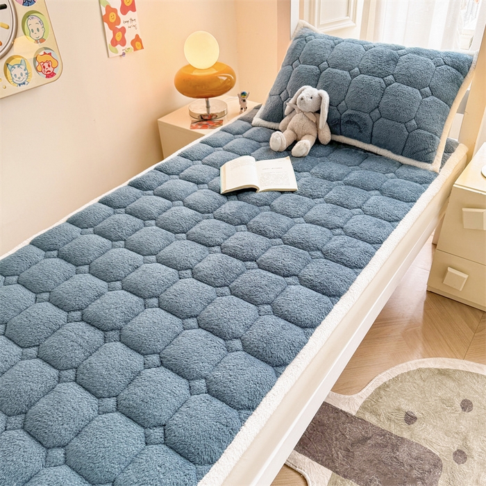 91家纺网 家纺一手货源 找家纺 雯豆家纺 2024新品泰迪绒学生床垫宿舍床褥子加厚上下铺北极绒床护垫 泰迪绒床褥-海因蓝