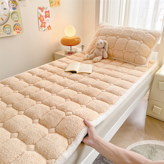 91家纺网 家纺一手货源 找家纺 雯豆家纺 2024新品泰迪绒学生床垫宿舍床褥子加厚上下铺北极绒床护垫 泰迪绒床褥-奶咖