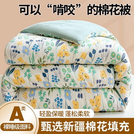 晓时候 2025新款印花水洗棉冬被新疆棉花被春秋被被子被芯 清新小花
