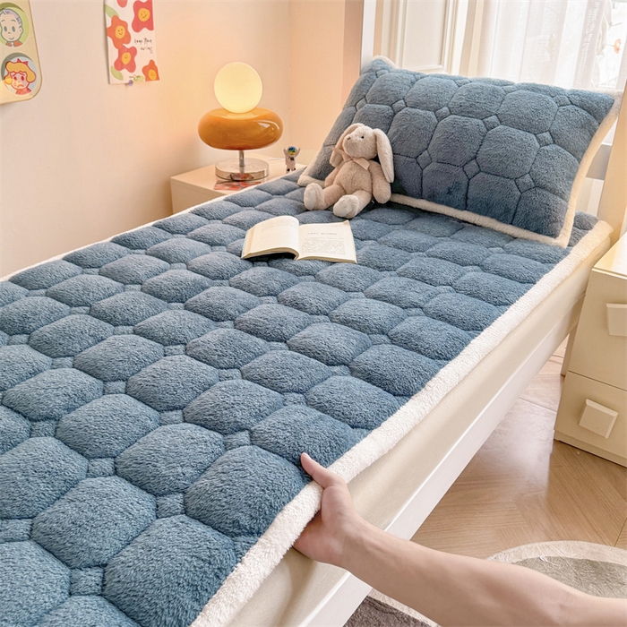 91家纺网 家纺一手货源 找家纺 雯豆家纺 2024新品泰迪绒学生床垫宿舍床褥子加厚上下铺北极绒床护垫 泰迪绒床褥-海因蓝