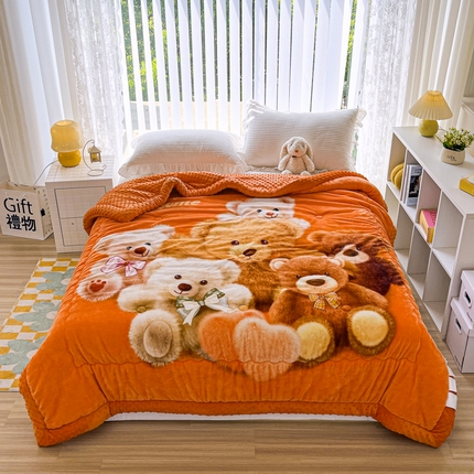 91家纺网 家纺一手货源 找家纺 （总）源舜家纺  2025新款云貂绒豆豆被冬被