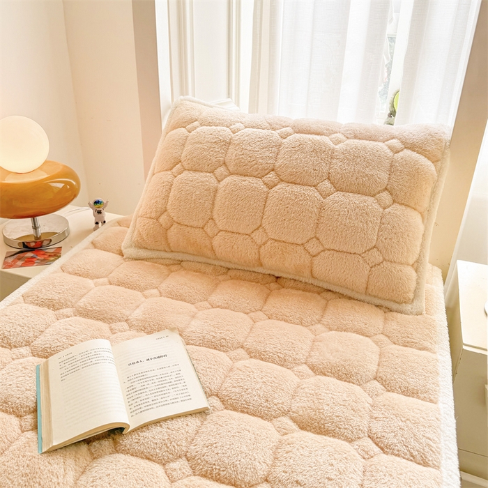 91家纺网 家纺一手货源 找家纺 雯豆家纺 2024新品泰迪绒学生床垫宿舍床褥子加厚上下铺北极绒床护垫 泰迪绒床褥-奶咖