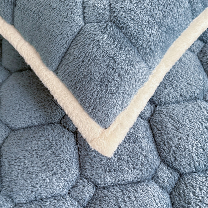 91家纺网 家纺一手货源 找家纺 雯豆家纺 2024新品泰迪绒学生床垫宿舍床褥子加厚上下铺北极绒床护垫 泰迪绒床褥-海因蓝