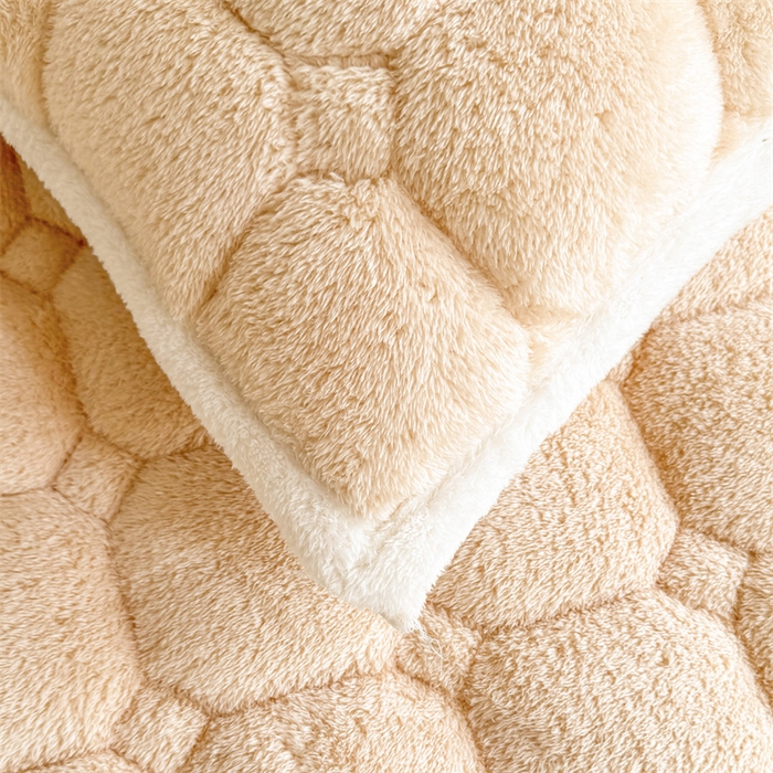 91家纺网 家纺一手货源 找家纺 雯豆家纺 2024新品泰迪绒学生床垫宿舍床褥子加厚上下铺北极绒床护垫 泰迪绒床褥-奶咖