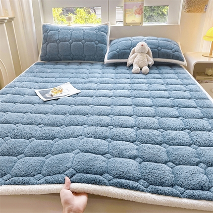 91家纺网 家纺一手货源 找家纺 （总）雯豆家纺 2025泰迪绒加厚床垫床护垫纯色素色北极绒床褥子宿舍床垫子