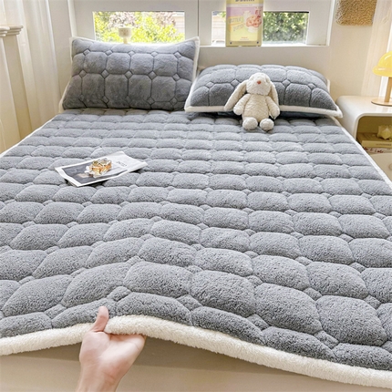 91家纺网 家纺一手货源 找家纺 （总）雯豆家纺 2025泰迪绒加厚床垫床护垫纯色素色北极绒床褥子宿舍床垫子