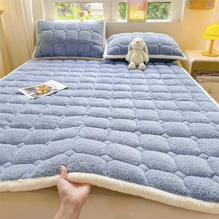 91家纺网 家纺一手货源 找家纺 （总）雯豆家纺 2025泰迪绒加厚床垫床护垫纯色素色北极绒床褥子宿舍床垫子
