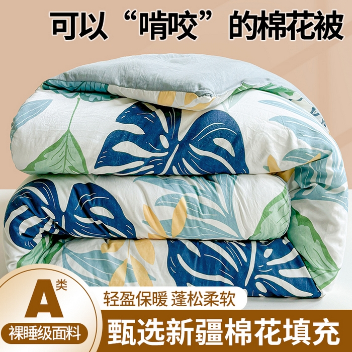 91家纺网 家纺一手货源 找家纺 晓时候 2025新款印花水洗棉冬被新疆棉花被春秋被被子被芯 夏日风情