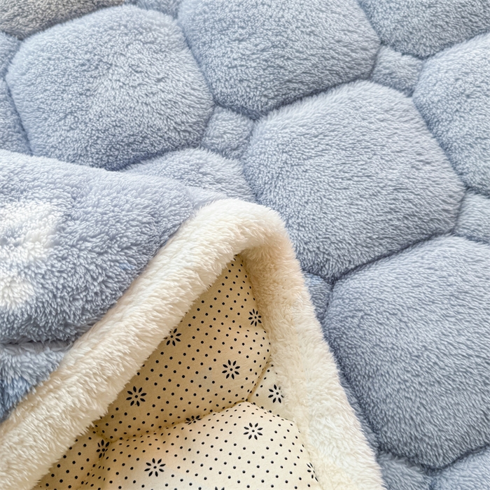 91家纺网 家纺一手货源 找家纺 雯豆家纺 2024新品泰迪绒学生床垫宿舍床褥子加厚上下铺北极绒床护垫 泰迪绒床褥-雪花飘飘-兰