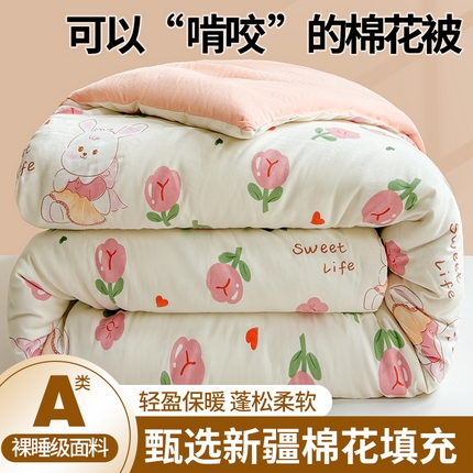 晓时候 2025新款印花水洗棉冬被新疆棉花被春秋被被子被芯 曼塔玫瑰