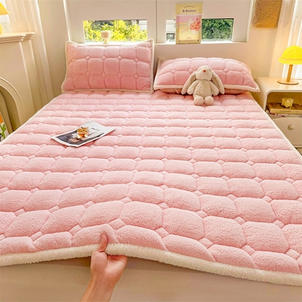 91家纺网 家纺一手货源 找家纺 （总）雯豆家纺 2025泰迪绒加厚床垫床护垫纯色素色北极绒床褥子宿舍床垫子