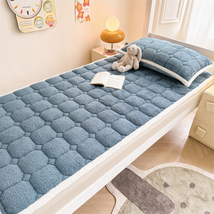 91家纺网 家纺一手货源 找家纺 雯豆家纺 2024新品泰迪绒学生床垫宿舍床褥子加厚上下铺北极绒床护垫 泰迪绒床褥-海因蓝