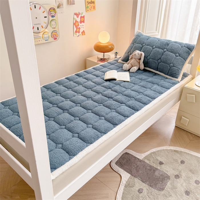 91家纺网 家纺一手货源 找家纺 雯豆家纺 2024新品泰迪绒学生床垫宿舍床褥子加厚上下铺北极绒床护垫 泰迪绒床褥-海因蓝