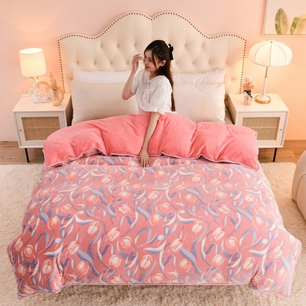 91家纺网 家纺一手货源 找家纺 （总）佳品居 2025新款A类牛奶绒印花单被套