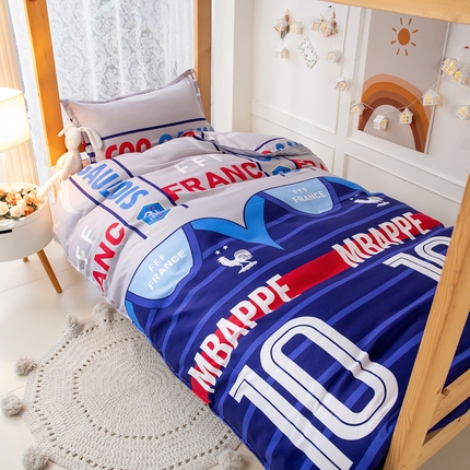 乐居坊 2024新款亲肤棉美棉芦荟棉四件套学生宿舍床（8月）  世界冠军