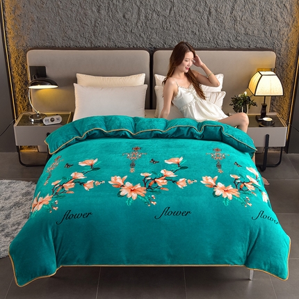 91家纺网 家纺一手货源 找家纺 （总）佳品居 2025新款A类牛奶绒印花单被套