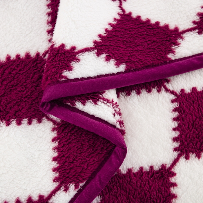 91家纺网 家纺一手货源 找家纺 一左一右 2024新款320g高克重加厚格子摇粒绒毛毯舒棉绒盖毯多功能毯子外贸跨境电商 姜红格