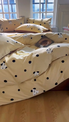 91家纺网 家纺一手货源 找家纺 千朵 2024新款全棉磨毛四件套 遇见