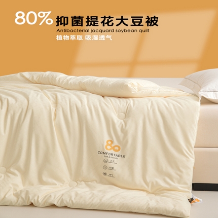 91家纺网 家纺一手货源 找家纺 （总）维洋家纺 2025新款80雅致提花大豆被-冬被