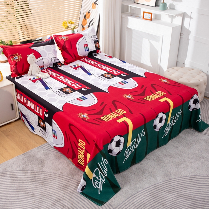 91家纺网 家纺一手货源 找家纺 乐居坊 2024新款亲肤棉美棉芦荟棉四件套新花型（8月）  追风少年