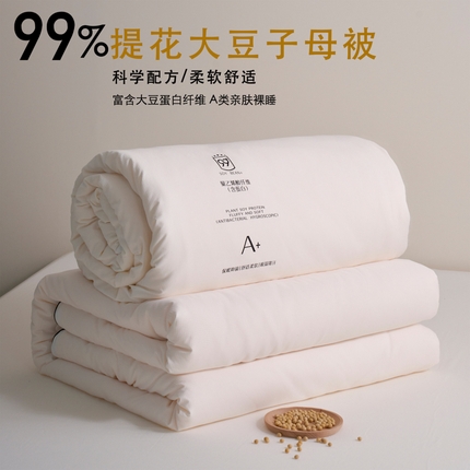 91家纺网 家纺一手货源 找家纺 （总）维洋家纺 2025新款99布拉宫提花大豆被-子母被