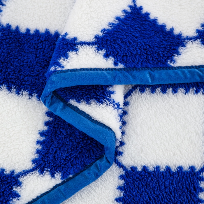 91家纺网 家纺一手货源 找家纺 一左一右 2024新款320g高克重加厚格子摇粒绒毛毯舒棉绒盖毯多功能毯子外贸跨境电商 蓝色格