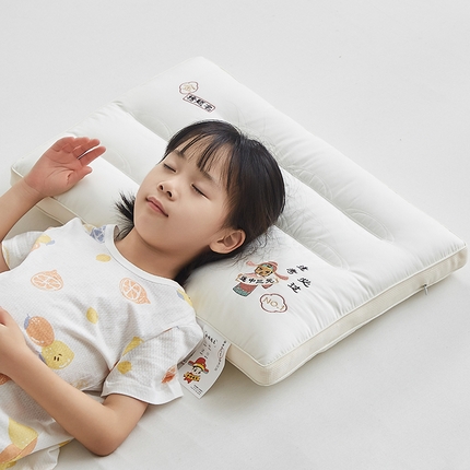 91家纺网 家纺一手货源 找家纺 （总）乐可 2024新款金榜题名状元枕儿童枕学生枕枕头枕芯 风格二