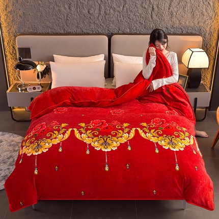 91家纺网 家纺一手货源 找家纺 （总）佳品居 2025新款A类牛奶绒印花单被套