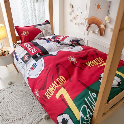 乐居坊 2024新款亲肤棉美棉芦荟棉四件套学生宿舍床（8月）  追风少年