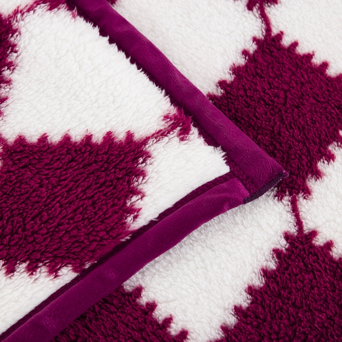 91家纺网 家纺一手货源 找家纺 一左一右 2024新款320g高克重加厚格子摇粒绒毛毯舒棉绒盖毯多功能毯子外贸跨境电商 姜红格